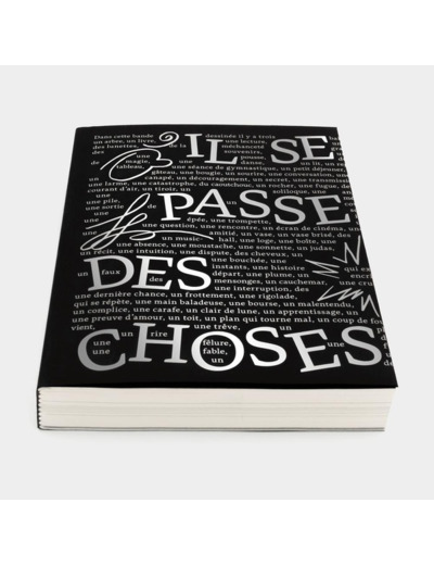 IL SE PASSE DES CHOSES - EDITION INTEGRALE