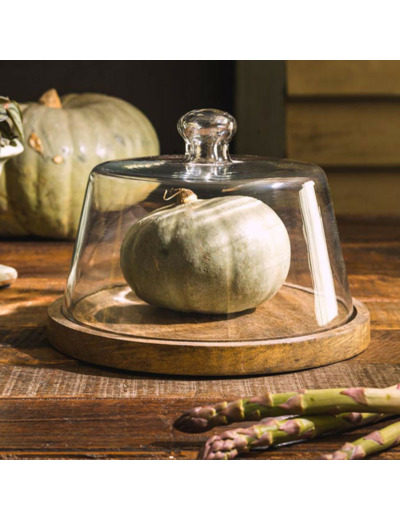 Plateau rond et cloche verre 16x22cm