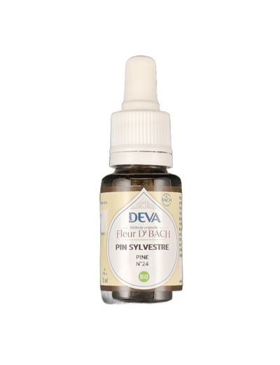 Pin Sylvestre n°24 15ml