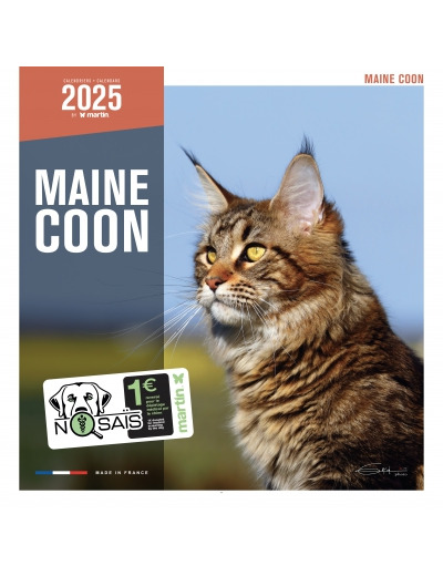 Calendrier chat 2025 - Maine Coon - Martin