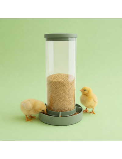 Vitéa – Mangeoire évolutive pour poussins et cailles