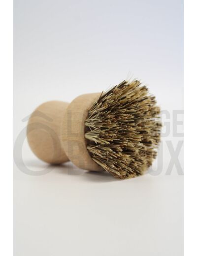 Brosse Vaisselle - 100% Compostable - SOLIDE !