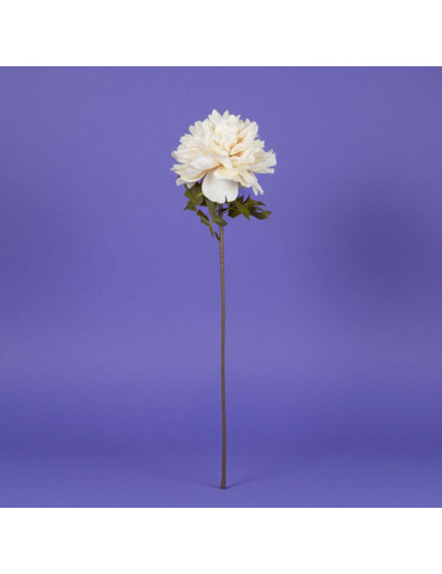 Fleur Proteace Blanc Polyester 84cm