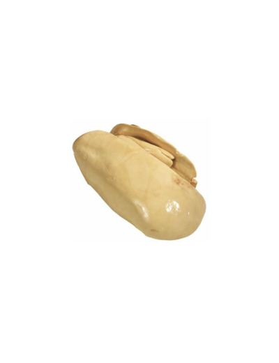 FOIE GRAS CANARD EXTRA EVEINE SURGELE
