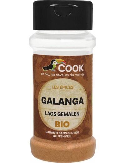 Galanga poudre 25g Cook