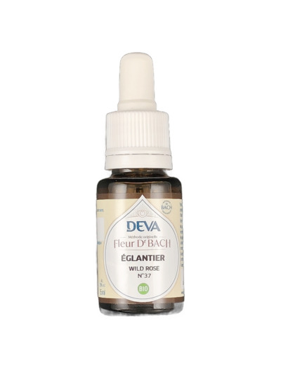 Eglantier n°37 15ml