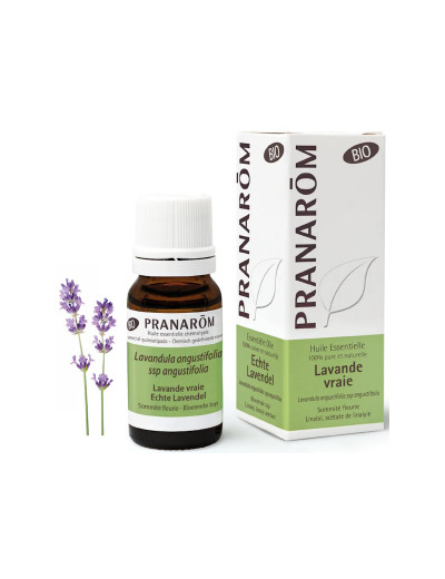 Lavande vraie Bio Flacon compte gouttes 10ml