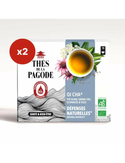 Thé blanc Qi Cha bio-18 sachets-Thés de la pagode
