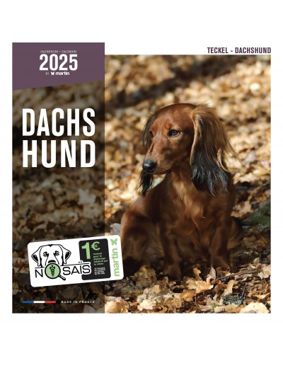 Calendrier chien 2025 - Teckel - Martin