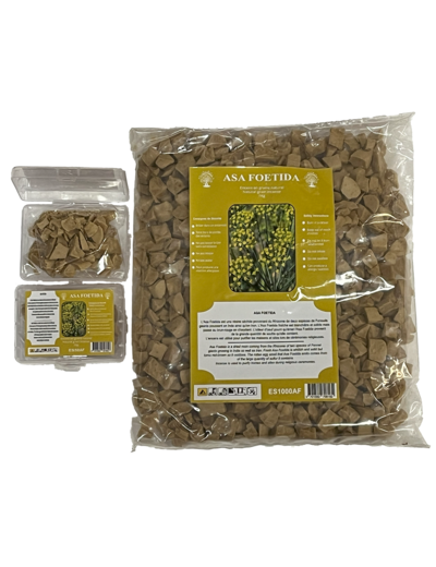 Encens en Grains Asa Foetida - Sachet de 1 Kilo