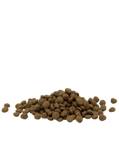 Opti Life pour Chat Adulte - 7.5KG