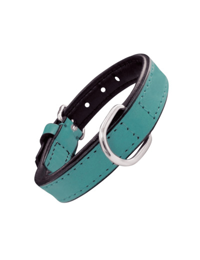 Collier en cuir, TURQUOISE pour chiens - 5 tailles différentes