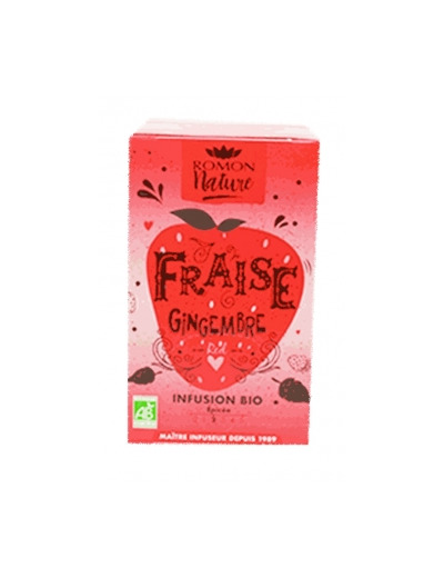 Infusion plaisir Fraise Gingembre bio