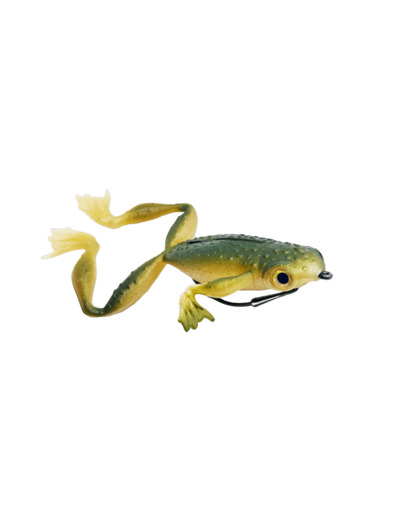 froggy tropical green 8cm