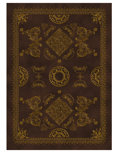 Grimoire vierge à l'ancienne - marron