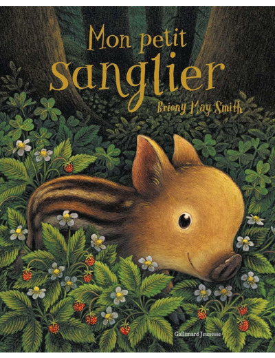MON PETIT SANGLIER