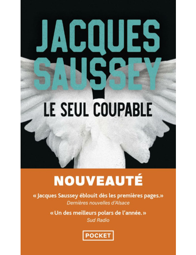 LE SEUL COUPABLE