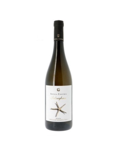 Falanghina Bio Puglia IGT