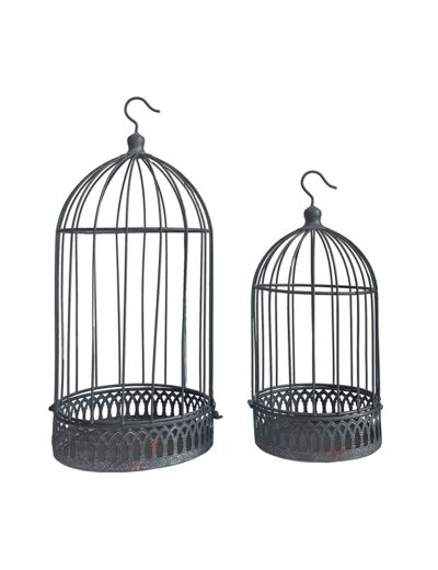 Ensemble 2 cages plantes fer 20x47cm