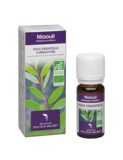 Huile essentielle Niaouli Bio-10 ml-Dr.Valnet