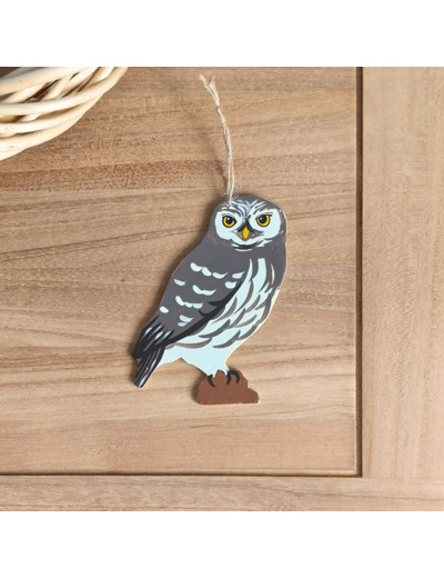 Chouette chevêche d'Athéna