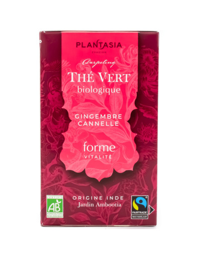 Thé Vert Gingembre Cannelle Bio 18 sachets