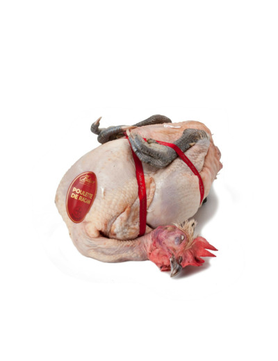 Poulette de Racan prête à cuire