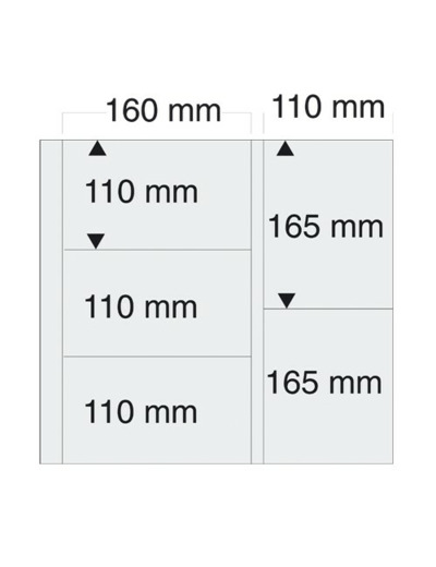 5 PAGES CARTE POSTALE MODERNE MIXTE 6013 (safe)