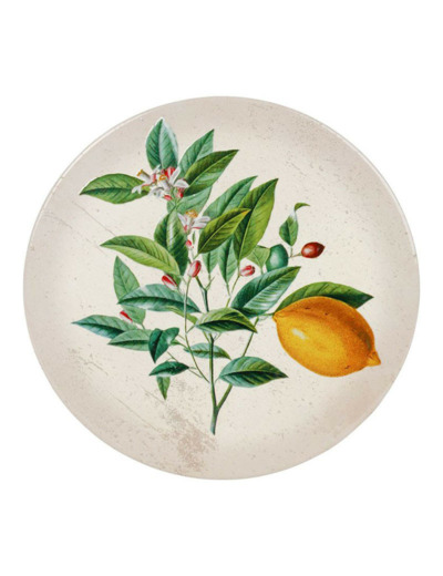 Dessous de plat dolomite Botanique multicolore 20cm