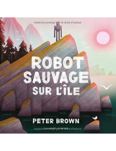 ROBOT SAUVAGE SUR L'ILE
