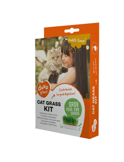 Herbes à chat en barquette - 100g