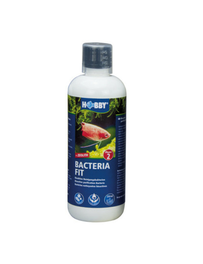 Bacteria FIT - 500ml