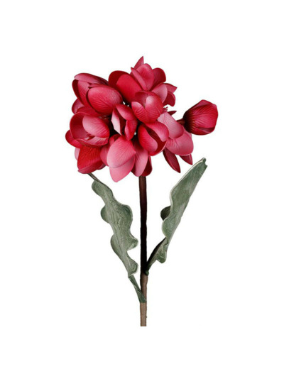 Fleur Campia Fuchsia Haute Tige 82cm