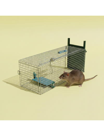 Piège à rat