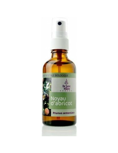 HUILE VEGETALE NOYAUX D ABRICOT 50ML HELPAC