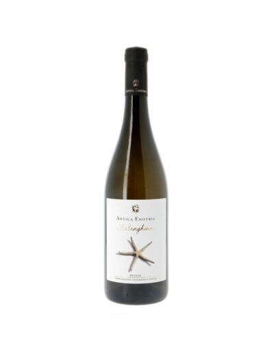 Falanghina Bio Puglia IGT