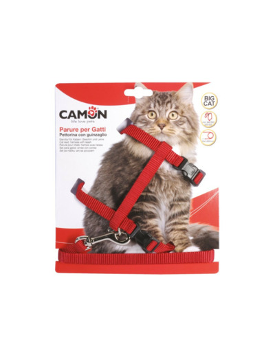 Harnais + laisse en nylon spécial grand chat