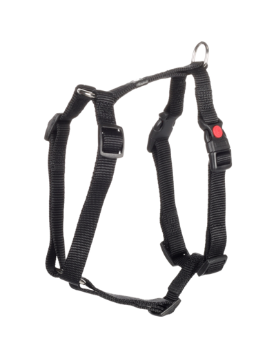 Harnais pour chien en H gris foncé - FLAMINGO