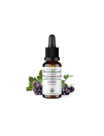 Macérat de bourgeons de Cassis bio 30ml