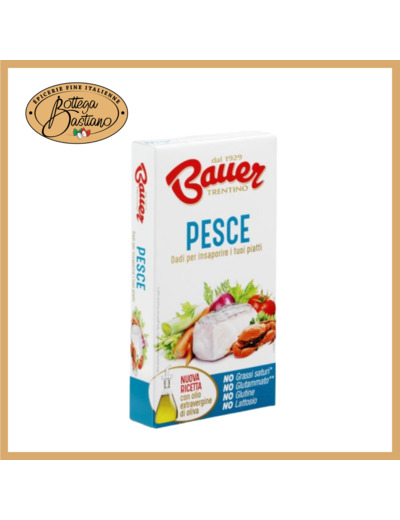 Bouillon cube poisson 10gx6