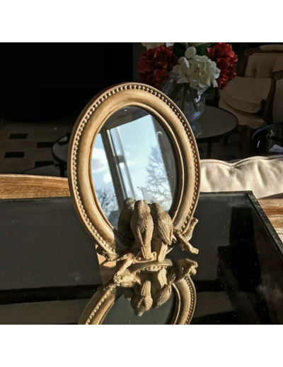 Miroir aux oiseaux 24x19 cm