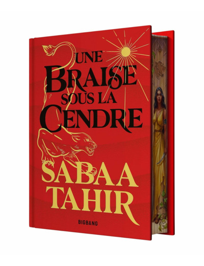 UNE BRAISE SOUS LA CENDRE T1