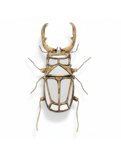 Miroir scarabée à pinces 43x5x22cm