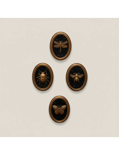 Ensemble 4 cadres insectes Entomologie 13x17cm