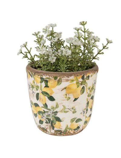 Pot de fleurs citron 11x10cm