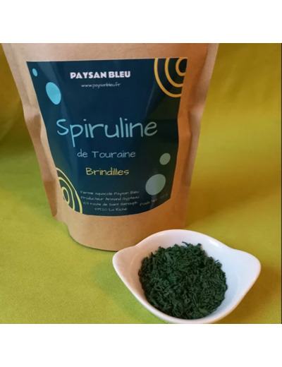 Spiruline Brindilles