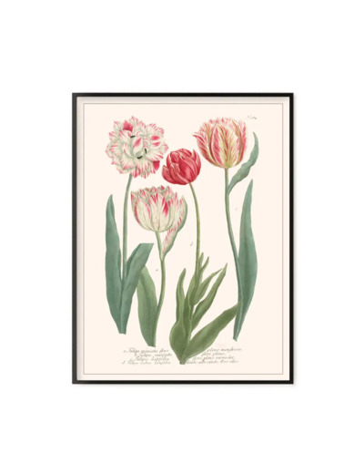 Impression d'art sur toile