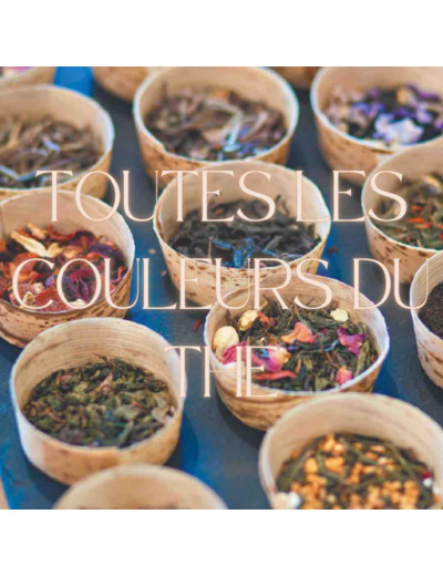 Atelier toutes les couleurs du thé
