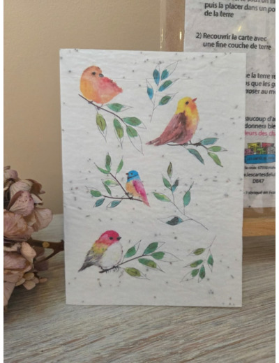 Carte à planter" Oiseaux"- Toutes occasions - Fleurs des champs