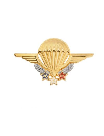 Brevet instructeur parachutiste militaire GS101